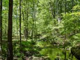 The site includes a picture-perfect creek, an important selling point for Bob when he was looking at land. “I wanted a bit of everything,” he says, “fields and forests and rolling hills and some kind of water running on the property like springs and creeks.”