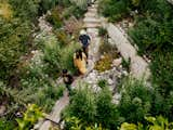 An 11-Year-Old Angeleno Turns His Family’s Yard Into a Graywater Garden