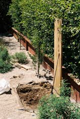 After the concrete dried around the backstop, I dug a drainage pit, making it two feet deep and larger in circumference than the piece of flagstone I planned to put down so water would run off the edges and collect in the gravel.