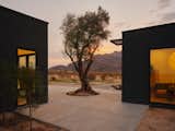 The connecting patio surrounds a solitary tree, with views of the surrounding desert.