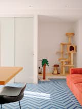 Living area of a tiny seaside home for Massimo Ricci and Valentina Martinelli in Termoli, Italy, renovated by Rispoli Guerrera Architetti with grey blue herring bone ceramic tile floor, light-toned wood table, low-backed black dining chair, coral pink sofa, and a tall climbing tree for their three cats.