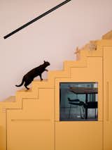 Black cat rises up bright yellow-orange staircase towards another cat lounging on a step looking down over kitchen in a tiny seaside home for Massimo Ricci and Valentina Martinelli in Termoli, Italy, renovated by Rispoli Guerrera Architetti.