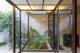 Glass enclosed room past entryway into the prototypical urban residential apartment building the Immeuble Clarté in 1932, a now UNESCO World Heritage site in Geneva, Switzerland commissioned by Edmond Wanner and designed by Le Corbusier and his cousin Pierre Jeanneret with shower enclosed by glass blocks with sunken plot planted with leafy fern plant.
