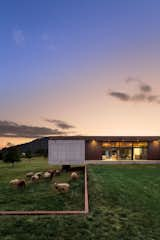 The sheep graze in their pasture, which is separated from the rest of the property by the knee-high wall, cleverly hidden in the landscape.