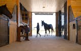 The property, including the barn, accommodates the horses’ impairments with wider-than-usual doorways and therapeutic mattresses in the stalls.