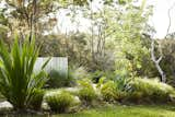 By the pool, a wide range of plants create interesting variation in heights, textures, and shapes. Since Sydney can be prone to bushfires during dry seasons, the pathways and pool fencing were built with nonflammable materials. 