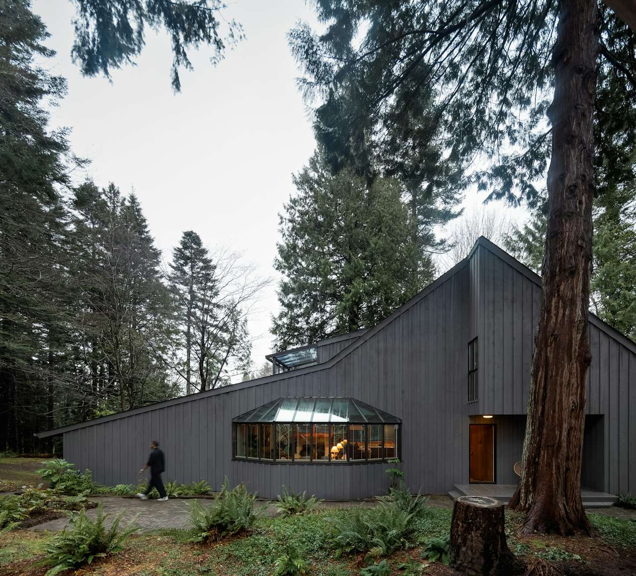 Cedar House with sloped timber roof