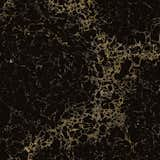 5100 Vanilla Noir Countertop from Caeserstone