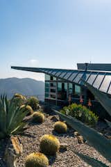 Drought-tolerant native plants surround the 700-square-foot guest house. Sited above the main residence, the compact structure includes an efficiently organized kitchen, bathroom, and outdoor deck. "At the guest house, you walk outside and you see all the way out to the Channel Islands," says Bata.