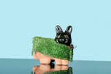 How a Turf-Wrapped Chia Pet Keeps a Landscape Architect Grounded in Her Work
