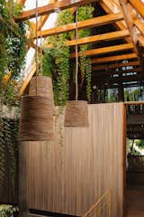 Deborah crafted three large pendants from bejuco, a thick, flexible vine.