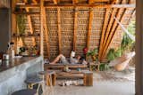 An Artist Lets the Wind and Wildlife of Oaxaca Flow Through Her Radically Open Home