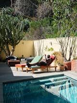 When Sean first moved in, the enormous cactus at the far end was just outside the yard, so he had the wall rebuilt to include it in the patio.