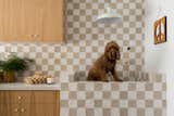 Designers Are Creating At-Home Pet Spas for Their Dog-Obsessed Clients