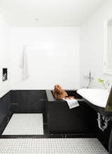 A Manhattan family worked with Frederick Tang Architecture to design a lavish $10,000 Nero Marquina stone dog bath that complements their postwar co-op’s refined aesthetic.