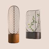 Screen-Pot by Fracois Clerc for De Castelli