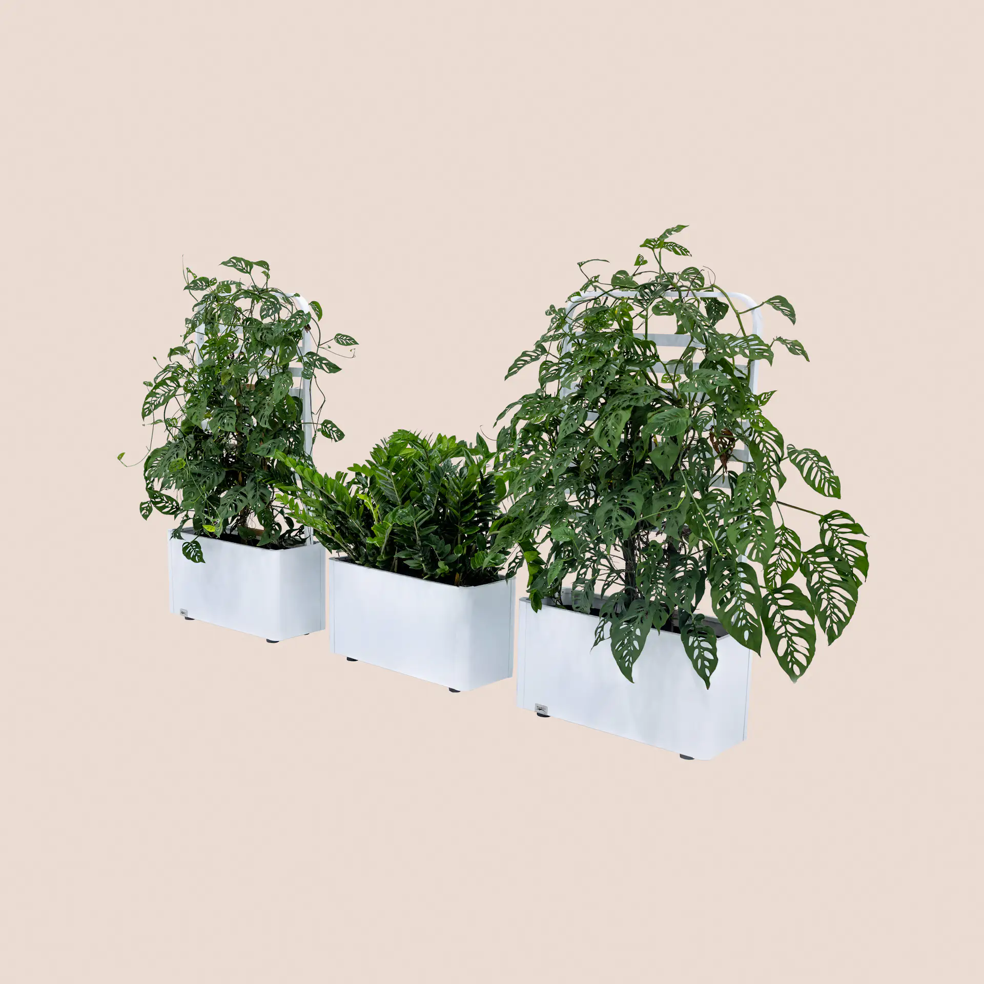 Mainland Planter by Tuuci