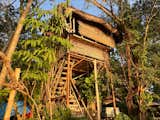 The stilted bamboo tree house overlooks Taal Lake.