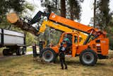 How Trees Destroyed by the L.A. Fires Are Being Recycled Into New Lumber