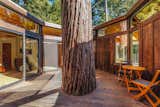 The redwood tree in the middle of the house is still growing, so at some point the inner atrium will have to be trimmed to accommodate the expanding trunk, although Rossman says luckily, that won’t “take place in our lifetime.”