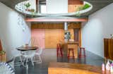 They Turned a 1960s Dentist’s Office Into a Home With a Giant Oculus