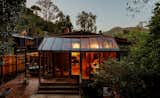 This $1.8M L.A. Midcentury Feels Like a Cabin-Greenhouse Mash-Up