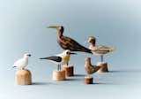 Why an Architect Keeps Hand-Carved Icelandic Birds on Her Shelf