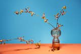 Glassware Traditions We Love From Around the World—and Their Modern Interpretations