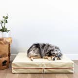 Le Bed Orthopedic Leather Dog Bed