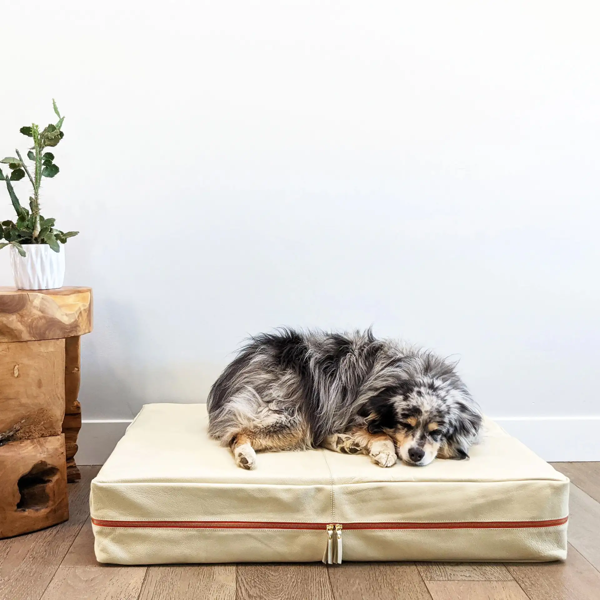 Le Bed Orthopedic Leather Dog Bed