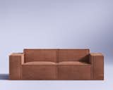 Rove Concepts M1 Dog/Cat Bed