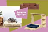 Stylish Dog Beds That Aren’t a Nightmare to Clean