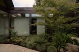 Inspired by the developer Joseph Eichler, the home centers around an open-air atrium.