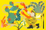 Gardening in Extremes: How to Cultivate a Drought-Tolerant Landscape