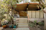 A variety of native California plants grow in the garden.