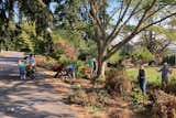 The Green Grove Cohousing Community is located outside of Portland in Forest Grove. It features solar panels, rainwater irrigation, and residents agree to a set of sustainability practices, though they note that they "consciously avoid zealotry" in their pledge to them.&nbsp;