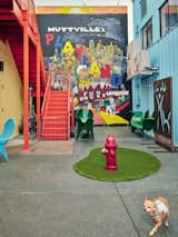 The local artist Debra Valker's Playland Mural is placed with a backyard in the open yard. The patch fire hydrant is exhausting to reduce the odorless odor. The Kneda in the form of a dog by sculptor Colin Selig were made using tanks with prepunged propanoma. 