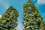 보에리 스튜디오(Boeri Studio)의 보스코 버티칼레(Bosco Verticale)