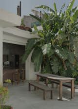 The permanently open kitchen connects to a patio. A banana tree, planted by Marcos just two and a half years ago, looms over an Amador dining table and benches by Ries.