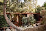 This $2.75M Pasadena Midcentury Is Perched Above a Stream