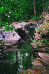 The home is steps from Fernbank Forest, an old-growth hardwood preserve.