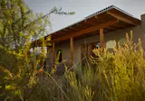 The dining room connects with the backyard, which is planted with native species like catclaw acacia, velvet mesquite, saguaro cactus, and Catalina Foothills palo verde to echo the surrounding desert landscape.