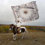 Bison Quilt by Wally Dion