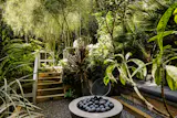 Fifty-foot-tall bamboo plants separate the backyard's different area's into "rooms."