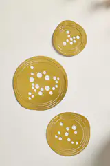 Terrain Brass Flower Arranging Tool