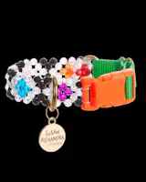 Susan Alexandra Seltzer Pet Collar