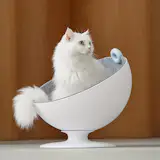 Furry Tail Boss Cat Bed