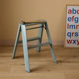 Hasegawa Lucano Lightweight Japanese Step Ladder