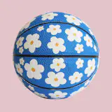 Local Hoops Mini Basketball