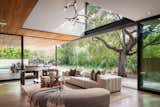 A Palo Alto Treehouse Designed Around Oaks and Redwoods